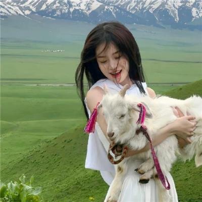 天师斗僵尸续集