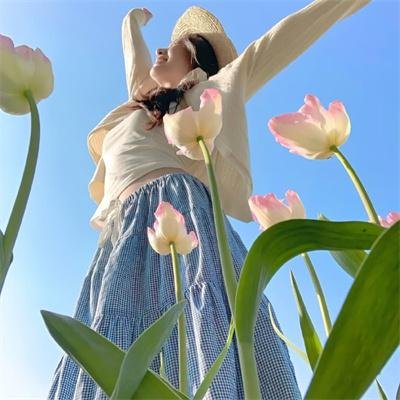 梦幻书院第七季
